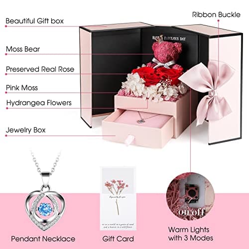 ADDWel Preserved Rose Gifts for Her, Forever Real Flowers with Sterling Silver Necklace for Wife Girlfriend Mom on Birthday Anniversary