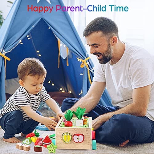 Toddlers Montessori Wooden Educational Toys for Baby Boys Girls Age 1 2 3 Year Old, Shape Sorting Toys 1st One First Birthday Girl Gifts for Kids 1-3, Wood Preschool Learning Fine Motor Skills Game