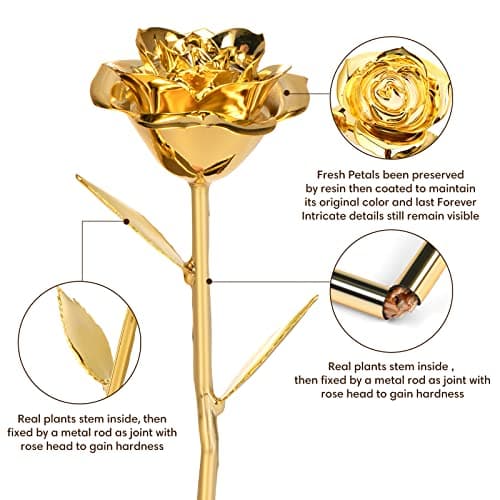 Gold Dipped Rose Real 24K Gold Rose, Genuine One of a Kind Rose Hand Dipped in 24K Golden Roses Romantic Gifts for Women in Her Birthday Anniversary Day Mothers Day