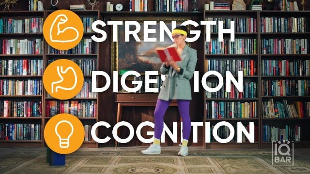 IQBAR Brain and Body Plant Protein Bars - 7 Bar Sampler Variety Pack - Keto, Vegan, Low Carb, High Fiber, Gluten Free, Dairy Free, Low Sugar Snack with Nutrients for Focus, Energy and Meal Replacement