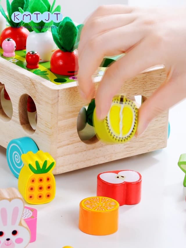 Toddlers Montessori Wooden Educational Toys for Baby Boys Girls Age 1 2 3 Year Old, Shape Sorting Toys 1st One First Birthday Girl Gifts for Kids 1-3, Wood Preschool Learning Fine Motor Skills Game