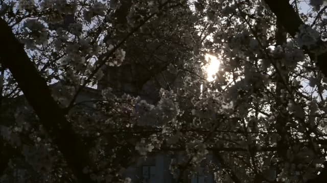 BUREI Men Wrist Watches Fashion Minimalist Analog Quartz Waterproof Watches for Men