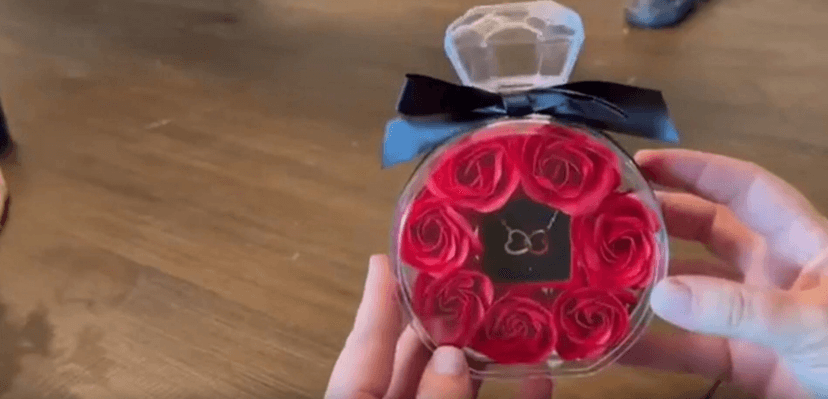 Preserved Rose with Heart Necklace Gift Artificial Flower Valentines Mothers Day for Girlfriend Mom Birthday Anniversary Personalized Romantic Gifts(Red)