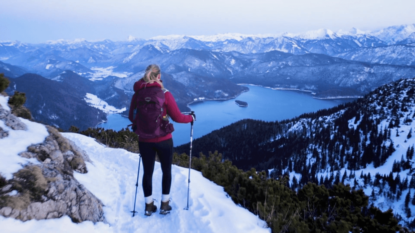 TrailBuddy Trekking Poles – Lightweight 7075 Aluminum Hiking Poles for Women, Men & Seniors – Collapsible Walking Sticks for Travel, Trails & Balance