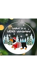 Sister Christmas Ornaments 2025,Sister Ornament for Christmas Tree,Best Sister Gifts,Friends Ornaments for Women,Friendship Gift for My Sister