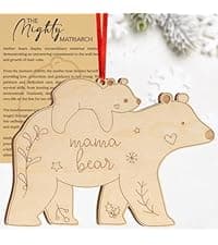 Best Friend Birthday Gifts for Women, Friendship Elephant Ornament with Story Card, Friendship Gifts for Women, Birthday Presents for Best Friends Sisters Special Bond Decor, Suncatcher