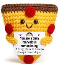 Romantic Gift For Couple Boyfriend Girlfriend Cute Handmade Crochet Pizza For Anniversary Valentine’s Day Love Gifts For Husband Wife Partner Small Birthday Gift Idea for Couples Pizza Decor