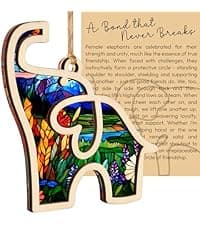 Gifts for Women, Friendship Elephant Ornament with Story Card, Friendship Birthday Gifts for Women, Birthday Presents for Best Friends Sisters Special Bond Decor, Suncatcher