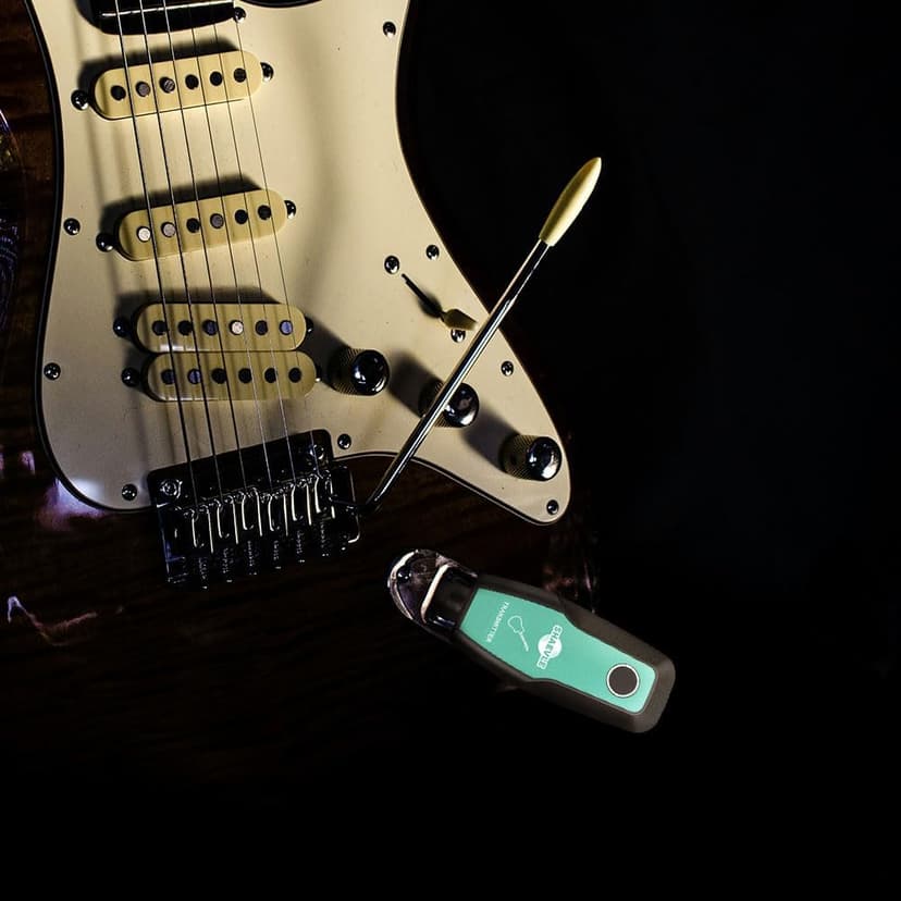 Wireless Guitar System 2.4GHz, Audio Wireless Transmitter Receiver with Rechargeable Battery, 30M/100ft Transmission Range, Auto Frequency Locking, for Guitar Bass Electric Instruments