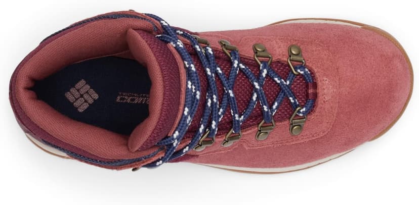 Columbia womens Newton Ridge Plus Waterproof Amped