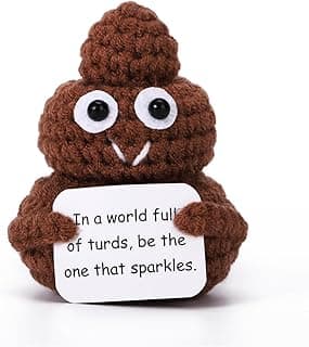 Funny Gag Gifts for Women,Sister, Brother, Dad, Mom, Bestfriends,Coworkers,Teen Boy Small Gifts, Home Office Decor Christmas Stocking Stuffer (Gag)