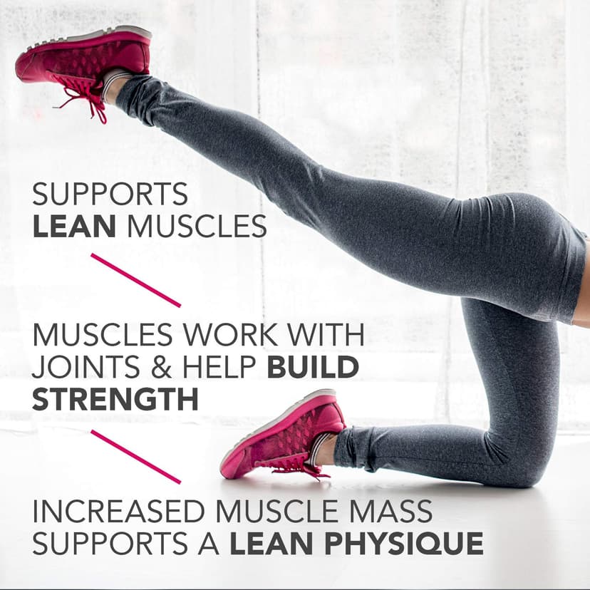 Pure Protein Chocolate Peanut Caramel Protein Bars – 20g Protein, 3g Sugar, 190 Calories (12 count) Low Sugar* High Protein Snack - Gluten Free - Perfect for a Healthy Snack