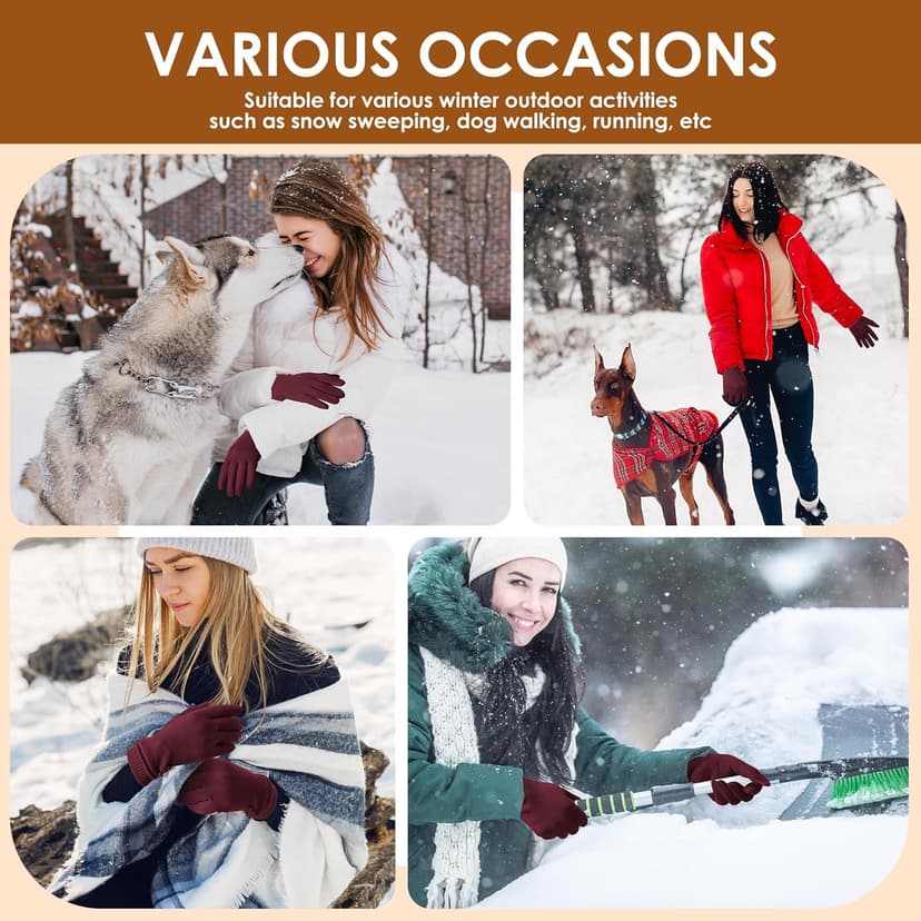 Dsane Womens Gloves Winter Touch Screen Texting Phone Windproof Gloves for Women Fleece Lined Thick Warm Gloves