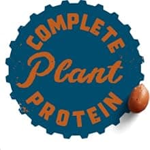 CLIF BUILDERS Protein Bars - Chocolate Peanut Butter Flavor - 20g Plant Based Protein - Gluten Free - Non-GMO - Low Glycemic - No Artificial Sweeteners - Value Pack, 2.4 oz. (12 Count)