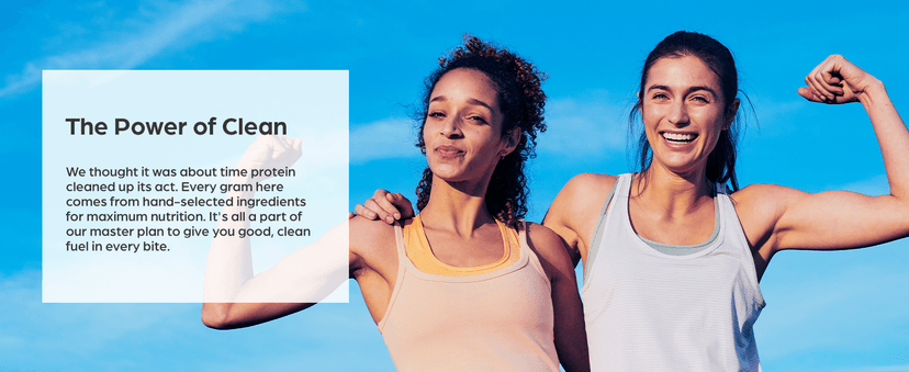 Orgain Organic Vegan Protein Bars, Peanut Butter Chocolate Chunk - 10g Plant Based Protein, Low Calorie Healthy Snacks, No Lactose or Soy Ingredients, Gluten Free, Non-GMO - 1.41 Oz (Pack of 12)