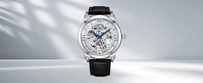 Stuhrling Mens Automatic Dress Watch Stainless Steel with Automatic Skeleton with Duel Time AM/PM Indicator