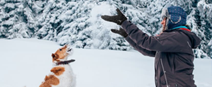 ihuan Winter Waterproof Gloves for Men Women Warm Running Cycling Snow Ski Gloves for Cold Weather, Thermal Windproof Material and Touch Screen Finger for Driving Snowboarding