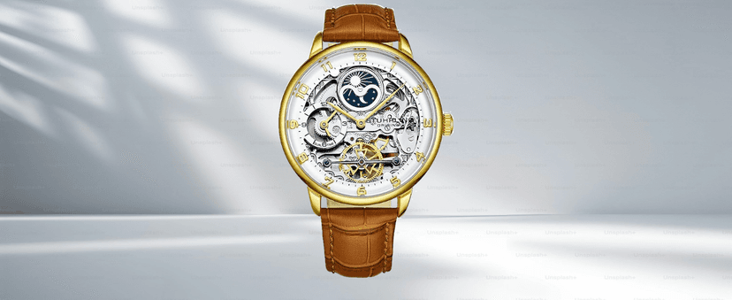 Stuhrling Mens Automatic Dress Watch Stainless Steel with Automatic Skeleton with Duel Time AM/PM Indicator