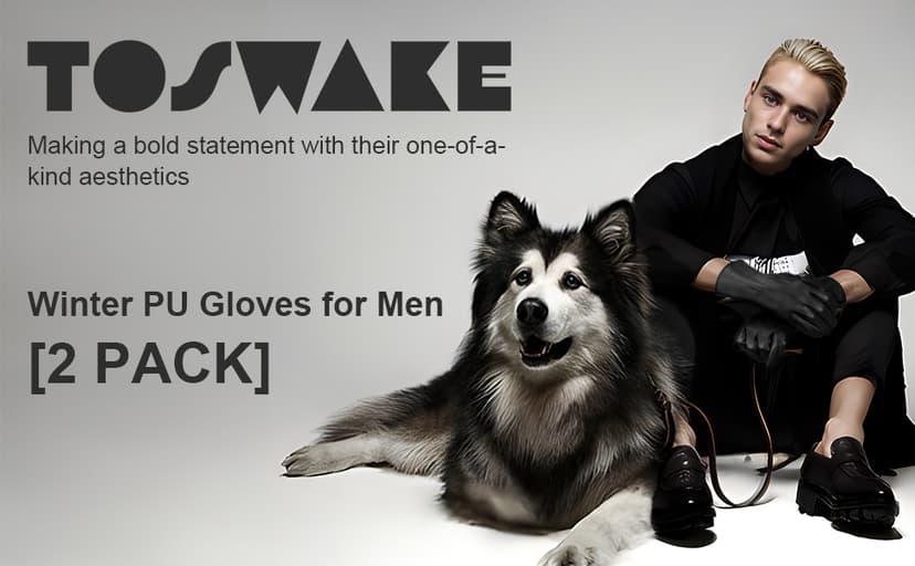 TOSWAKE Leather Gloves for Men 2 Pack, Winter Gloves PU Warm Thermal Wool Lined, Mens Gloves Touchscreen Texting for Driving