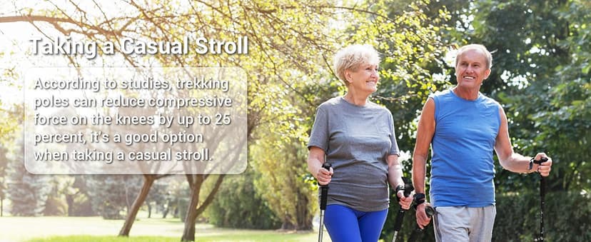 TheFitLife Nordic Walking Trekking Poles - 2 Sticks with Anti-Shock and Quick Lock System, Telescopic, Collapsible, Ultralight for Hiking, Camping, Mountaining, Backpacking, Walking, Trekking