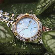 SEIKO SUR392 Automatic Watch for Women - Essentials - Swavorski Crystals - Stainless Steel Two-Tone Gold-Finish Bracelet - 50M Water Resistant