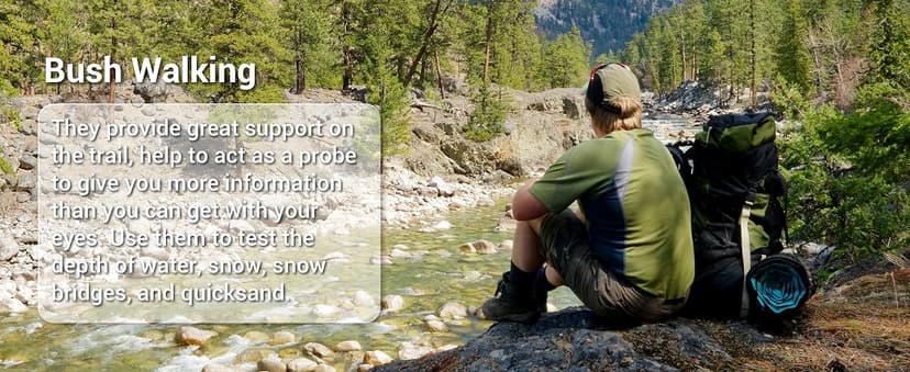 TheFitLife Nordic Walking Trekking Poles - 2 Sticks with Anti-Shock and Quick Lock System, Telescopic, Collapsible, Ultralight for Hiking, Camping, Mountaining, Backpacking, Walking, Trekking