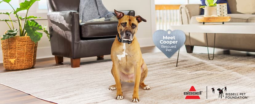 Bissell CleanView Swivel Rewind Vacuum with Automatic Cord Rewind, TurboEraser Upholstery Tool, Triple Action Brush Roll, Swivel Steering, Extension Wand, Easy-Empty Dirt Tank, Multi-Cyclonic Suction