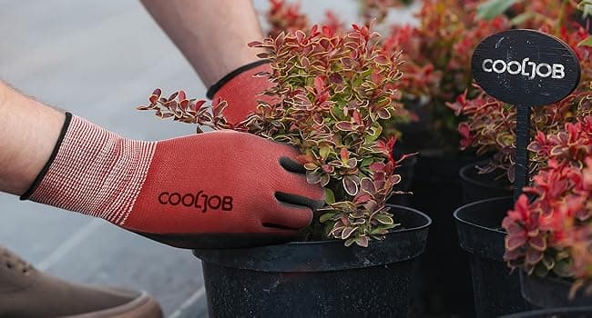 COOLJOB Gardening Gloves for Men, 2 Pairs Breathable Rubber Coated for Garden Weeding Landscaping, Outside Work for Lawn Yard, Men's Large Size, Black & Red