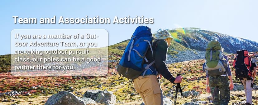 TheFitLife Nordic Walking Trekking Poles - 2 Sticks with Anti-Shock and Quick Lock System, Telescopic, Collapsible, Ultralight for Hiking, Camping, Mountaining, Backpacking, Walking, Trekking