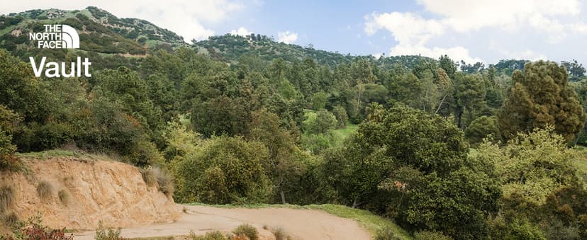 The North Face Vault Everyday Laptop Backpack - Commuter Travel Bag, Water-Repellent Finish, Spacious Compartment, TNF Black-NPF, One Size | Everyday, PFAS Free