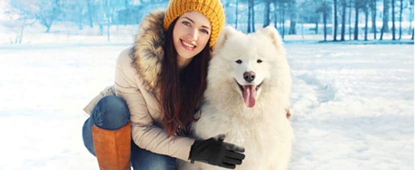 ihuan Winter Waterproof Gloves Cold Weather - Snow Ski Windproof for Men Women, Warm Touchscreen Thermal for Running Cycling