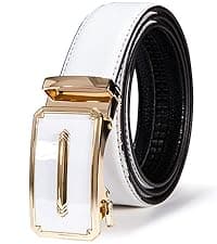 Dubulle Designer Mens Belts, Sliding Automatic Buckle Ratchet Dress Belt TOP Genuine Leather Strap Gifts