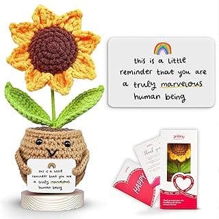 Best Gifts for Teacher Appreciation - Thoughtful & Unique Ideas