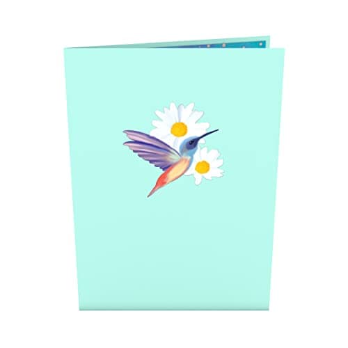 Lovepop Daisy Patch Hummingbirds Pop-Up Card, 5 X 7 Inch, Valentine's Day Gift, Cards for Mom, Thinking of You, Love Card