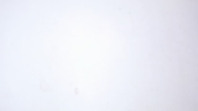 Yewltvep Shooting Ear Protection Gun Range Ear Protection with Earmuffs, Gun Safety Glasses, Earplugs, Hard Storage Case