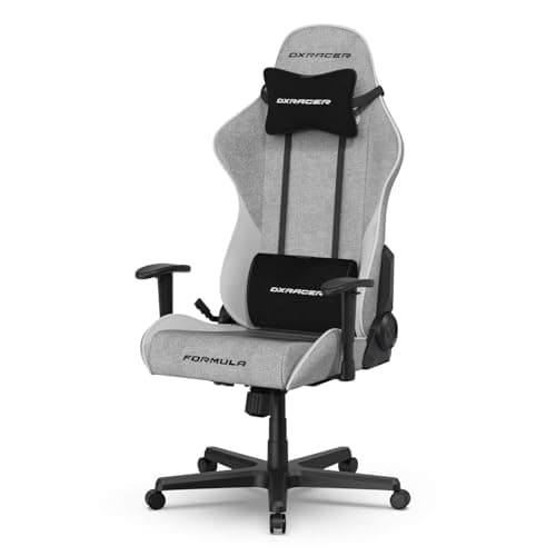 DXRacer Formula L Ergonomic Gaming Chair for Adults, Reclining Video Office Computer Gamer Chair with Lumbar Support and Headrest (Water-Resistant Fabric, Gray White)