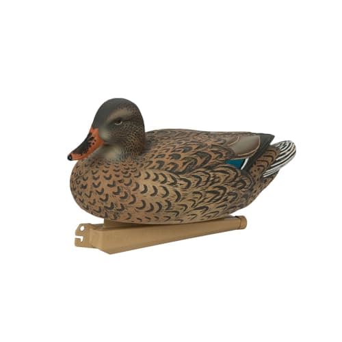 Avery GHG Essential Mallard Duck Decpus - 12 Pack