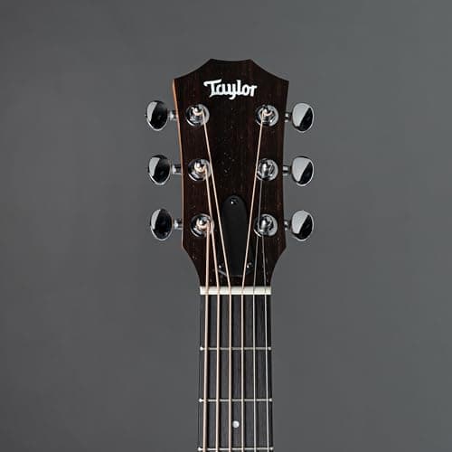 Sapele GS Mini by Taylor