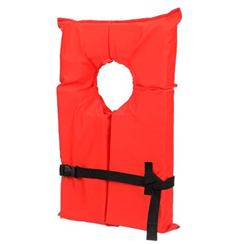Seachoice Life Vest, Type II