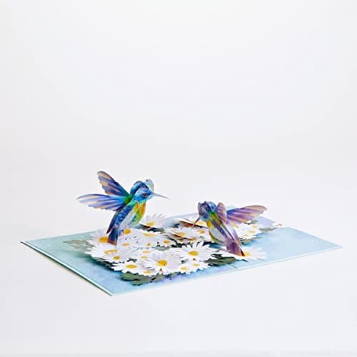 Lovepop Daisy Patch Hummingbirds Pop-Up Card, 5 X 7 Inch, Valentine's Day Gift, Cards for Mom, Thinking of You, Love Card