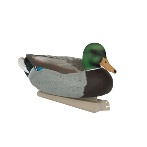 Avery GHG Essential Mallard Duck Decpus - 12 Pack
