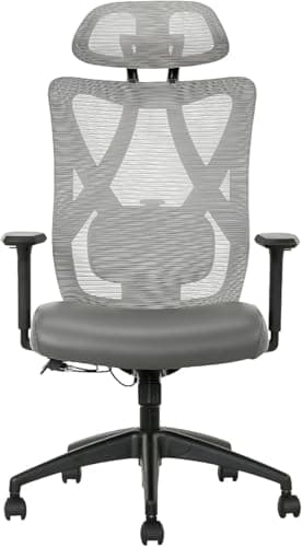 SitTrue Ridgefield Ergonomic Mesh/Vegan Leather High-Back Task