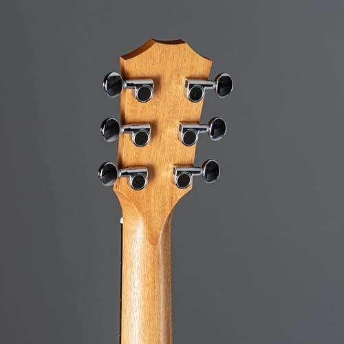 Sapele GS Mini by Taylor