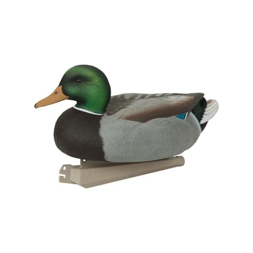 Avery GHG Essential Mallard Duck Decpus - 12 Pack