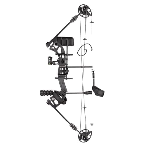 Compound Bow Set for Adults and Beginners, Adjustable 30-55 Lbs Draw Weight, 24"-29.5" Draw Length, up to IBO 310 fps, Archery Bow Set with All Accessories for Hunting Target Shooting Practice