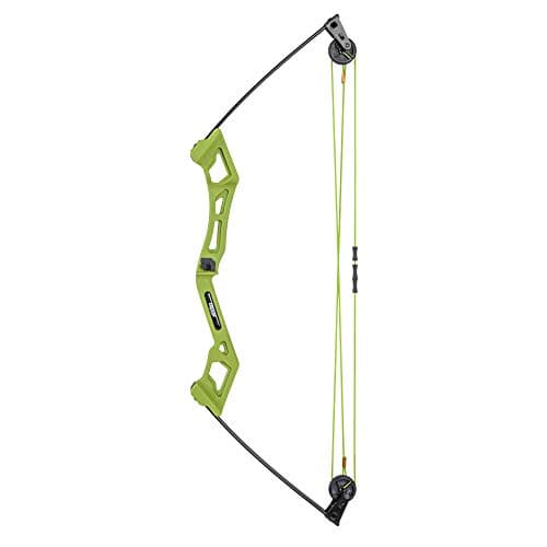 Bear Archery Apprentice Bow Set.