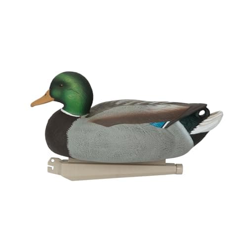 Avery GHG Essential Mallard Duck Decpus - 12 Pack