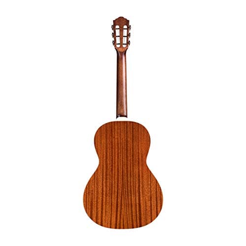 GUILD Guitars P-240 12-Fret Parlor Memoir Acoustic Guitar, Natural, Solid Top, Westerly Collection