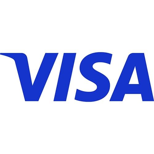 $100 (plus $5.95 Purchase Fee) - For Online Use Only Visa Virtual eGift Card B0DG8FDNBK