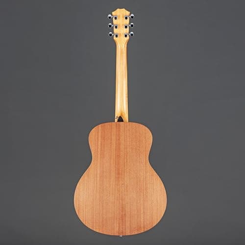 Sapele GS Mini by Taylor